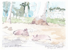 Load image into Gallery viewer, Pigs on Enemanit Island Majuro Atoll